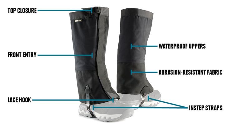Gaiter anatomy