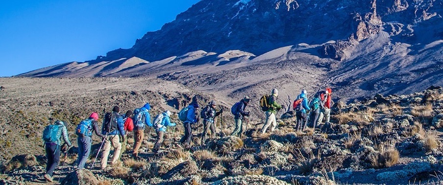 climbing Kilimanjaro to the summit