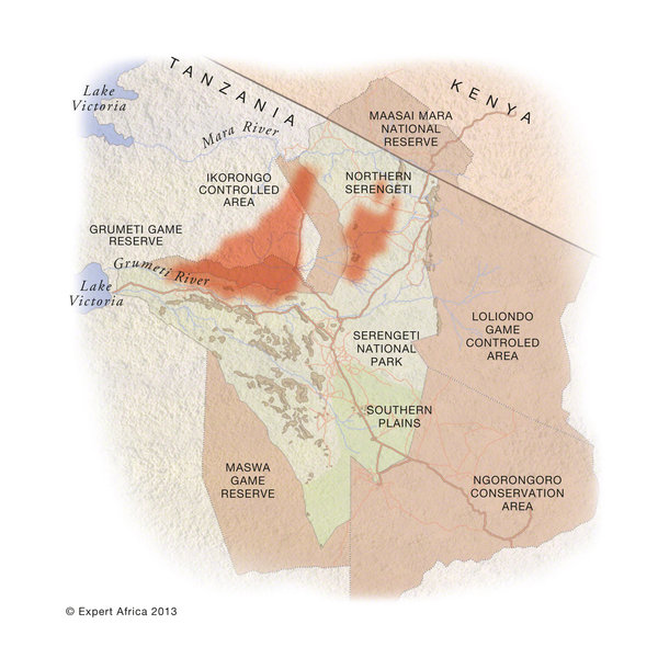 Wildebeest Migration map June to july