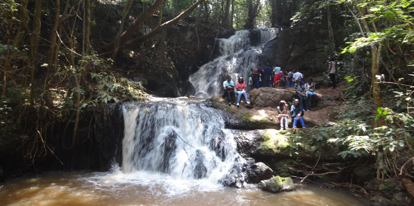 Karura Forest Hike