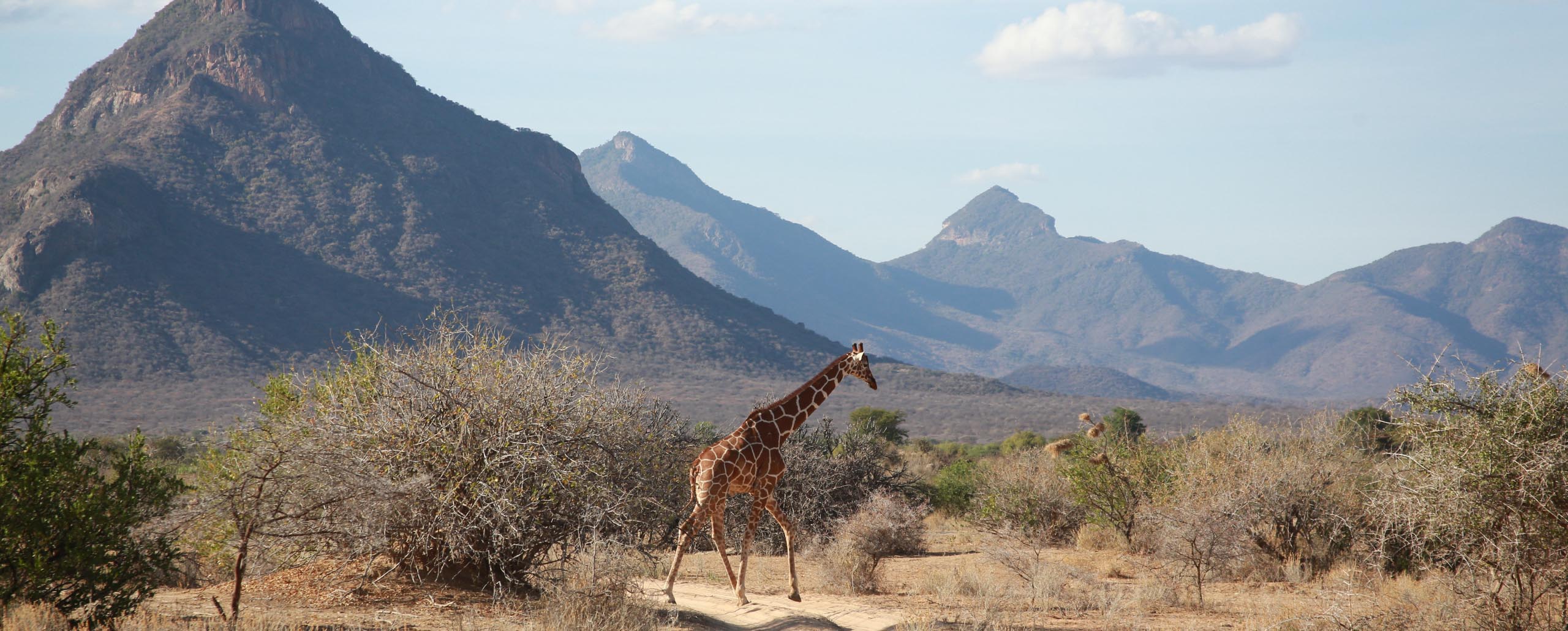 Kenya Mountains