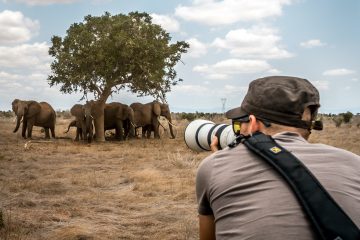 Kenya Photographic safari