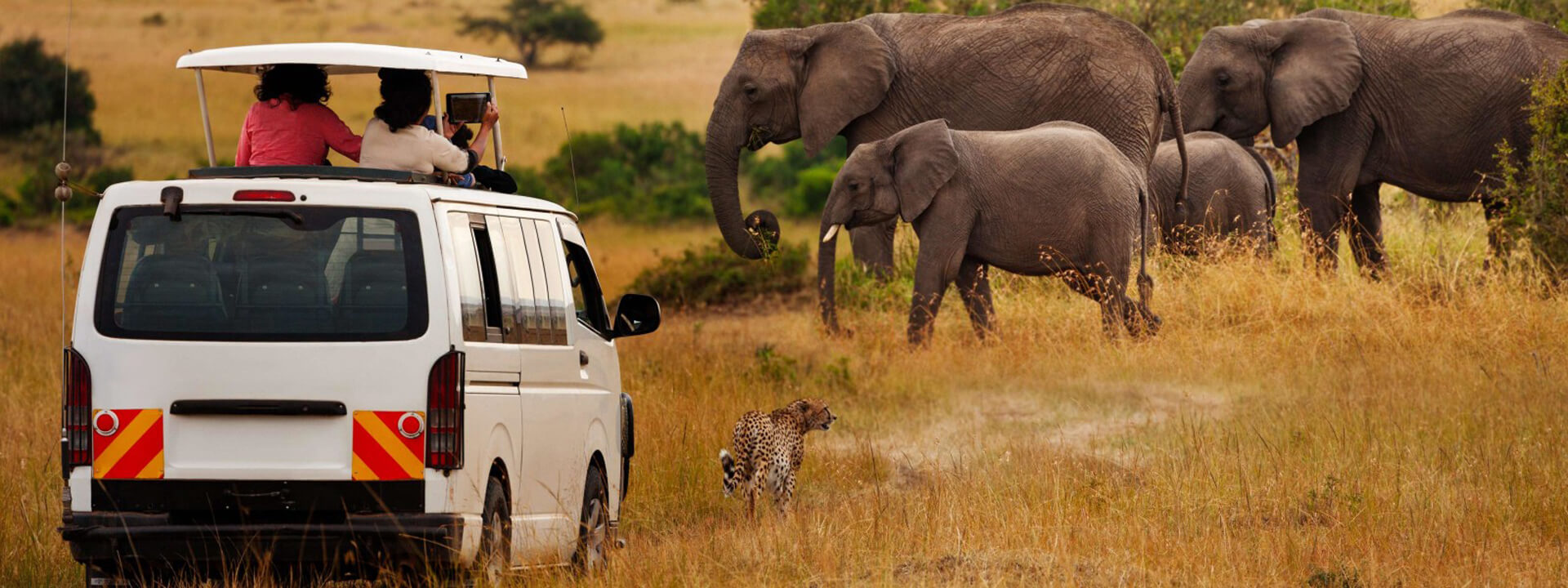 Kenya Safari and Tours
