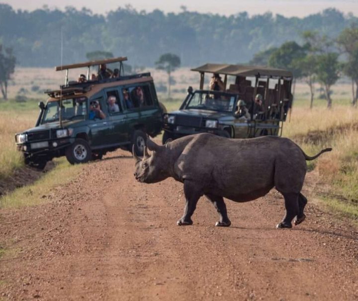 Kenya Tanzania Safari 10 days