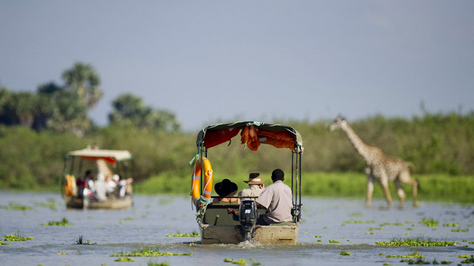17-Day Kilimanjaro Marangu Route, Mahale, Nyere/Selous & Mikumi Southern Tanzania Safari