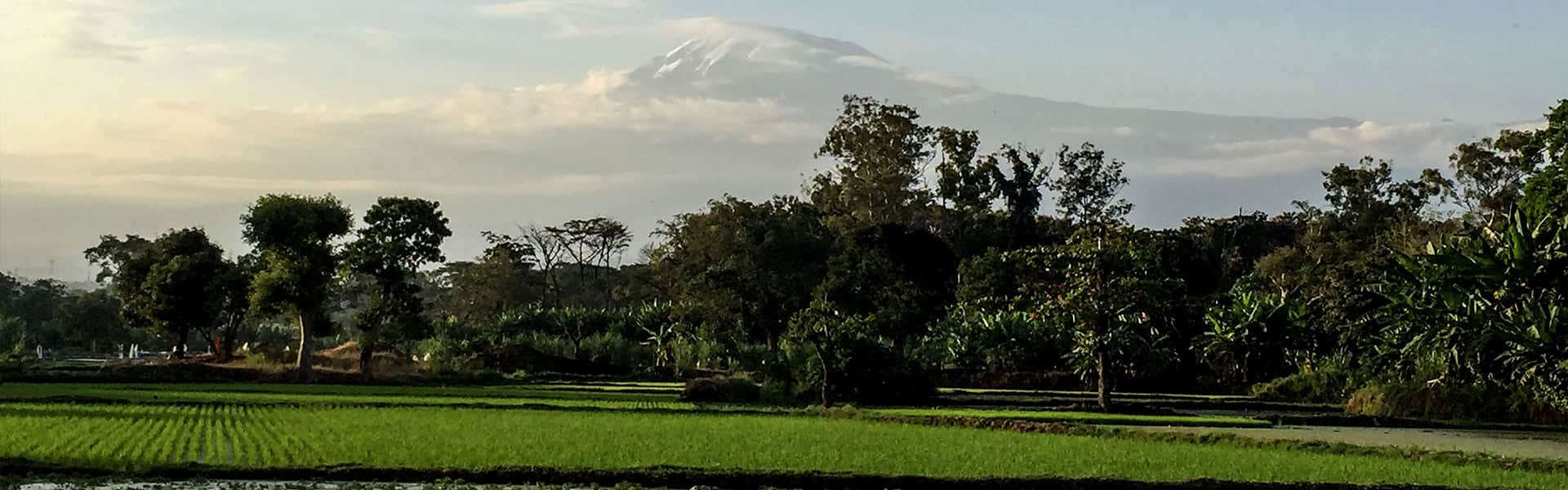 Where Kilimanjaro climbs begin – Moshi the Closest town to Kilimanjaro