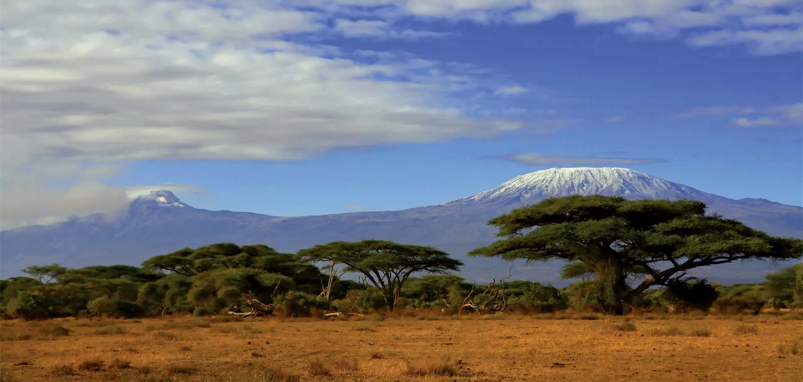 Mount Kilimanjaro, highest mountain in Africa