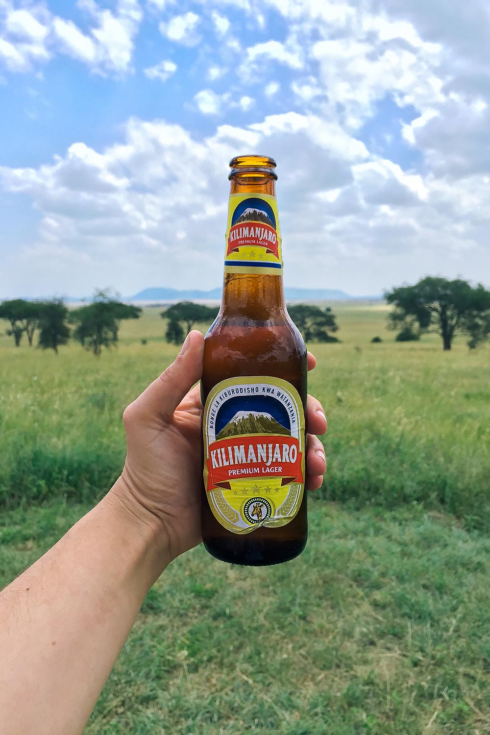 Kilimanjaro Premium Lager Beer