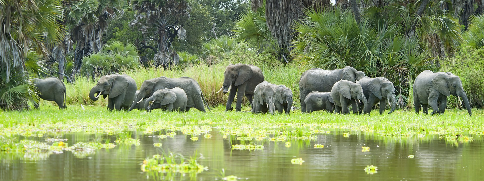 Kilimanjaro Treks, Tanzania Safaris and Zanzibar Beach Tours