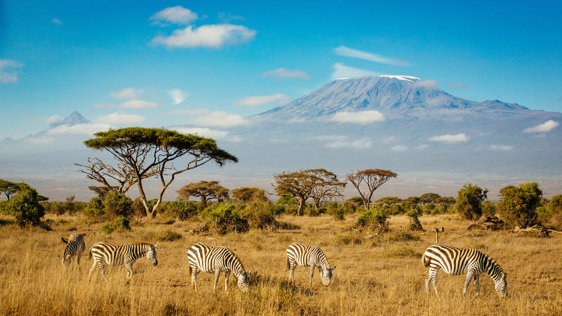 15-Day Kilimanjaro Machame Climb, Serengeti Safari, and Zanzibar