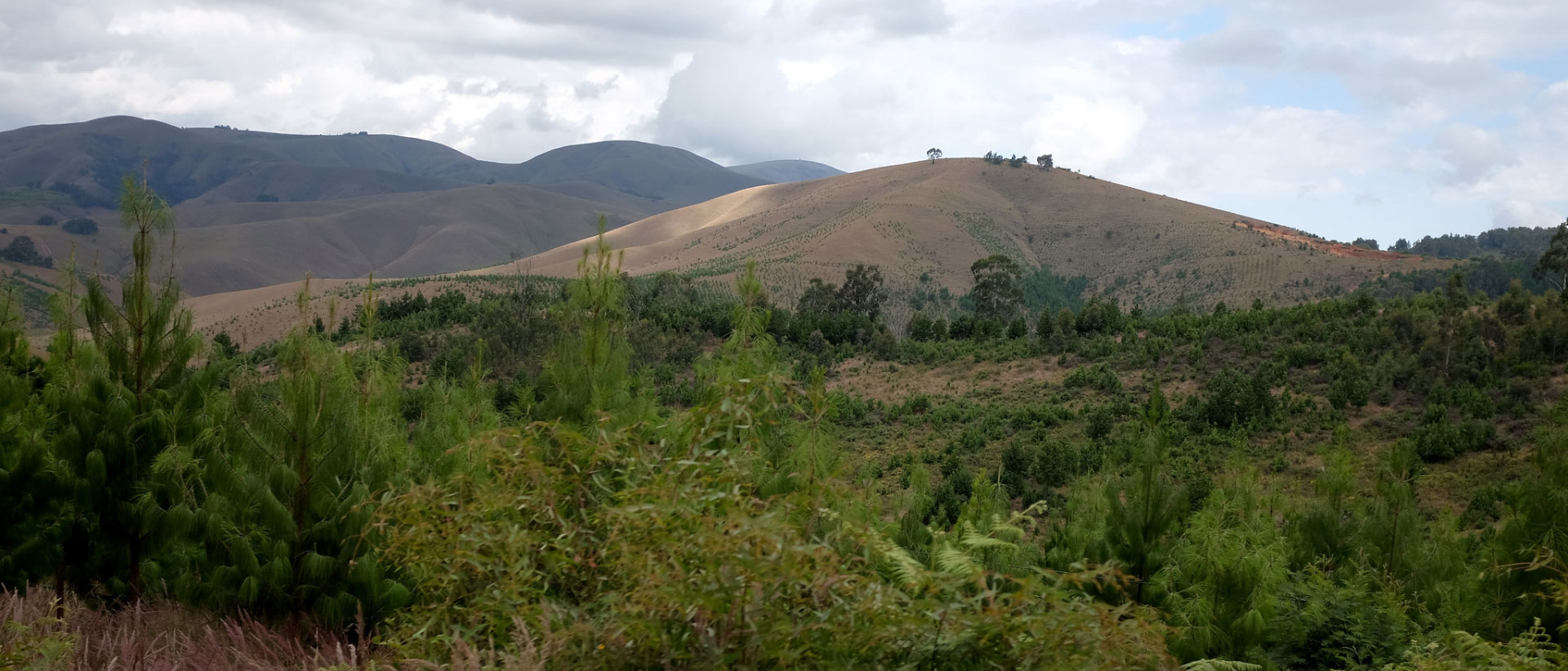 Uporoto, Kipengere and Livingstone Ranges