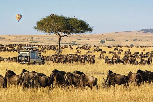 4 days Masai Mara safari
