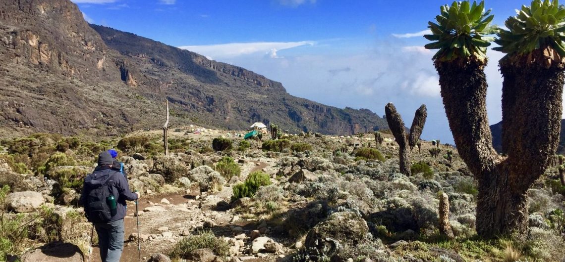 How to trek machame Route