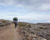 marangu-route-porter Porters on Marangu Route