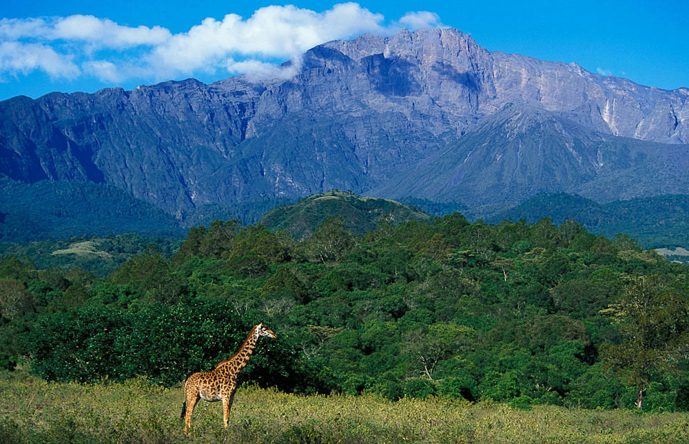 Mount Meru beauty