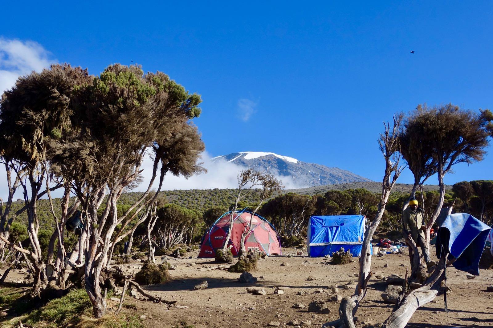 Millenium camp, Kilimanjaro