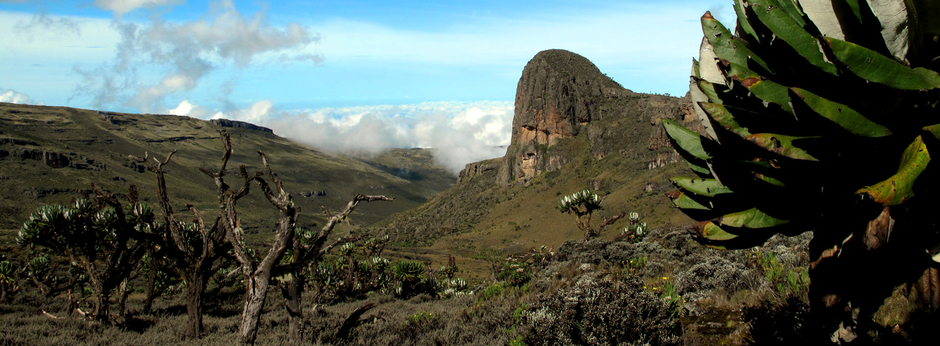 Mount Elgon