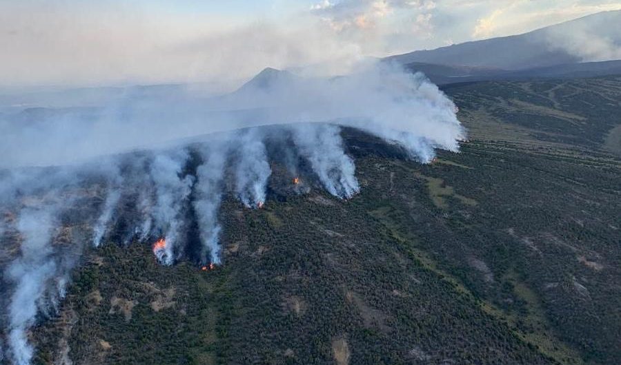 Mount Kenya fire