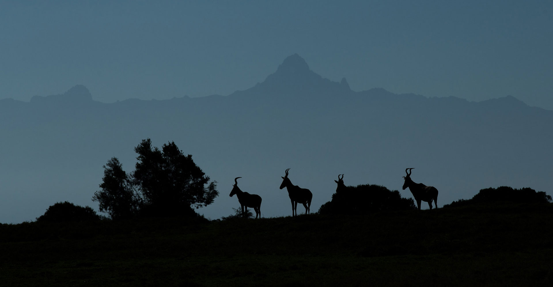 11 Days Mount Kenya Trek & Masai Mara Safari