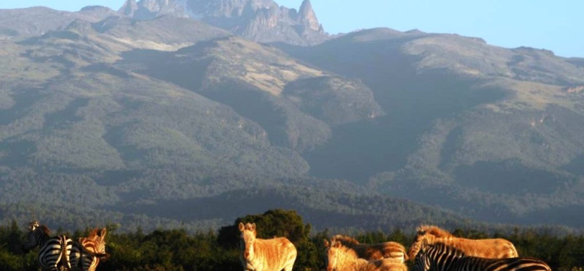 Mount Kenya Park fees