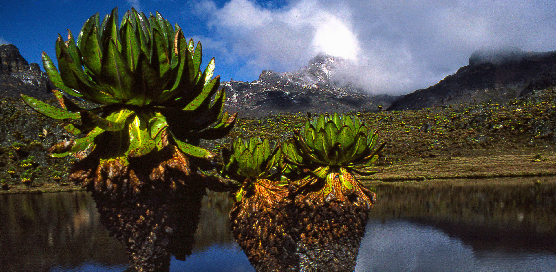 5 Days Mount Kenya Sirimon – Naro moru Trek