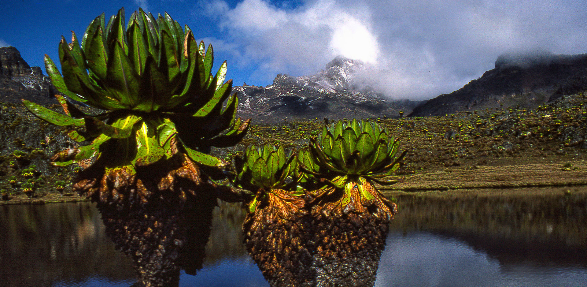 5 Days Mount Kenya Sirimon – Naro moru Trek