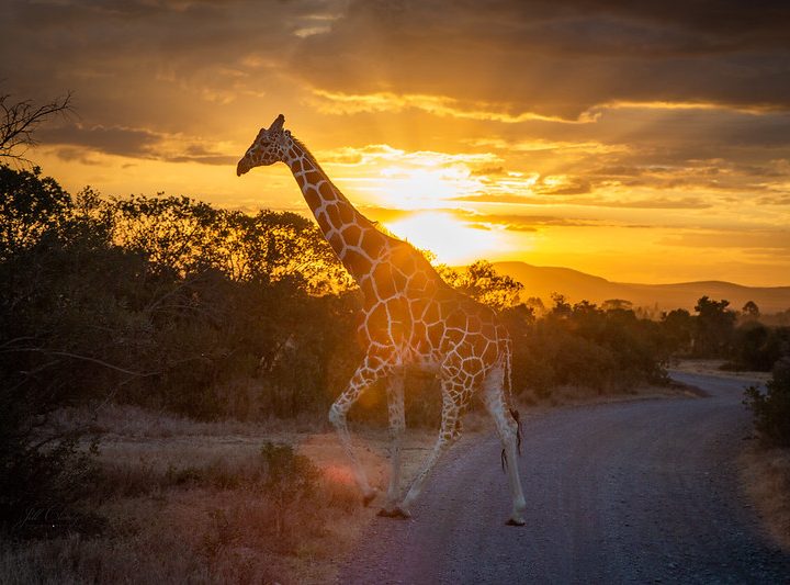 Mount Kenya Trek and safari