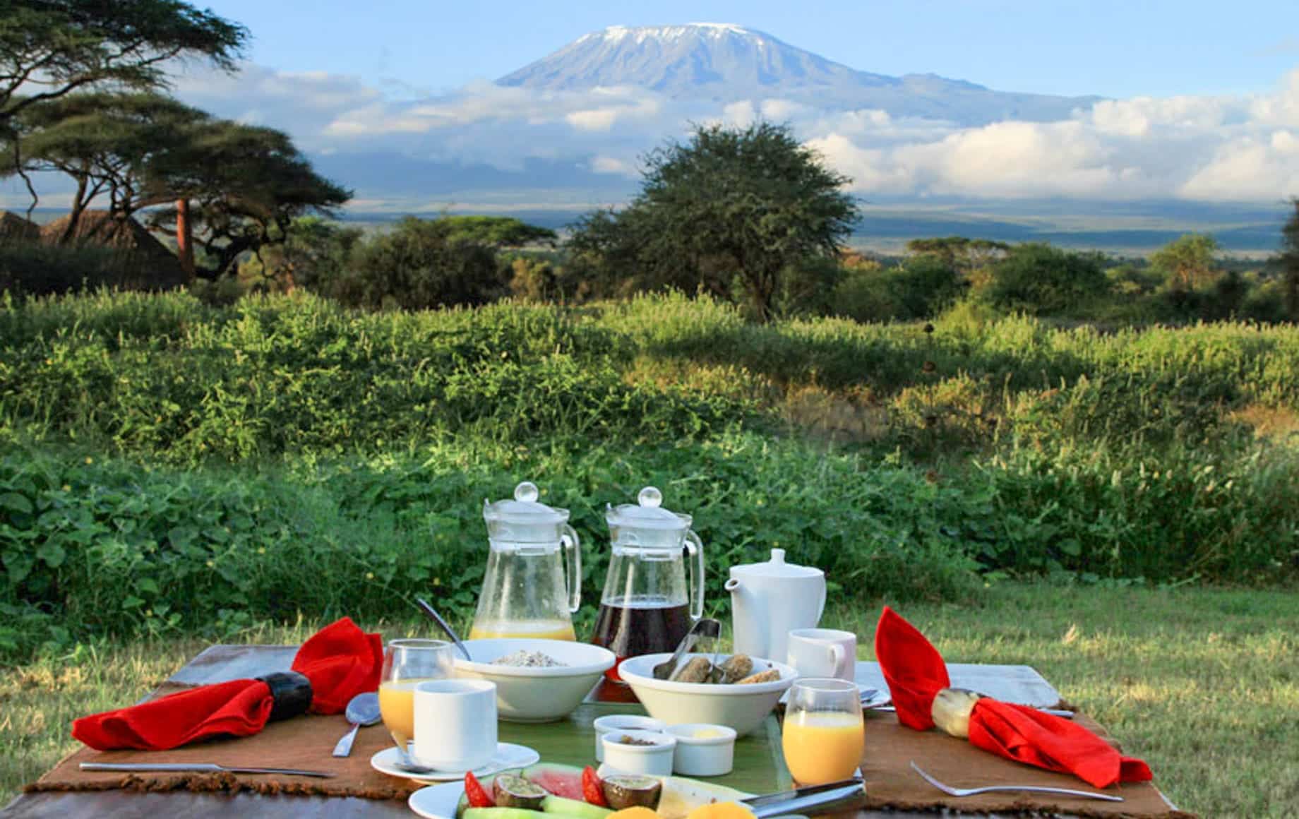 Kilimanjaro breakfast with a view