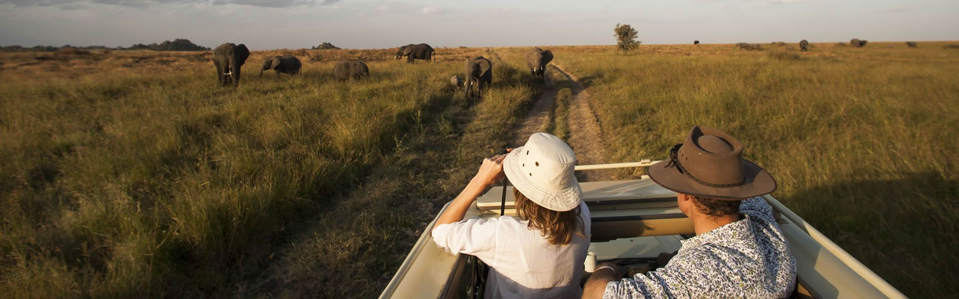 Mount Kilimanjaro and Safari