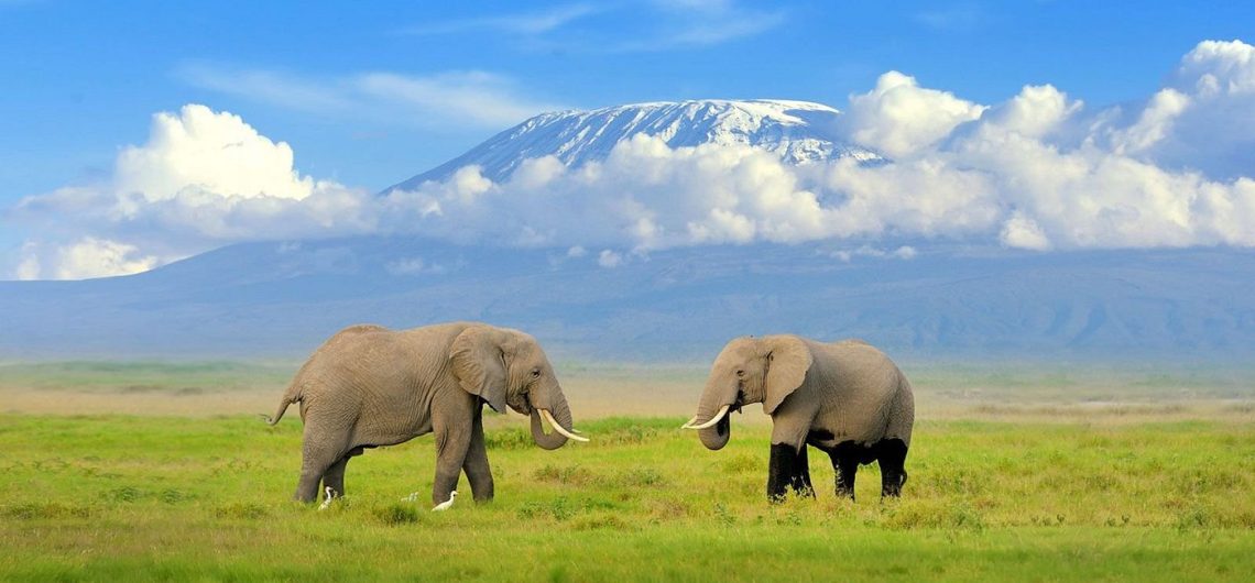 Amboseli National Park