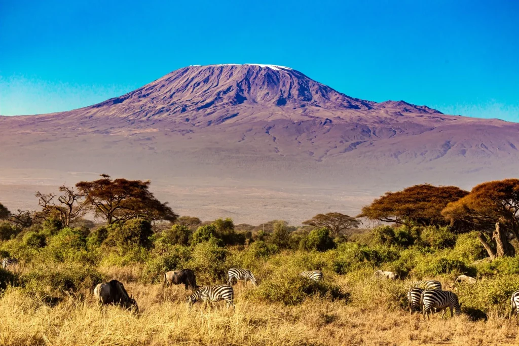 How high is Mount Kilimanjaro?