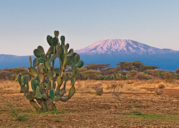 Kilimanjaro Weather