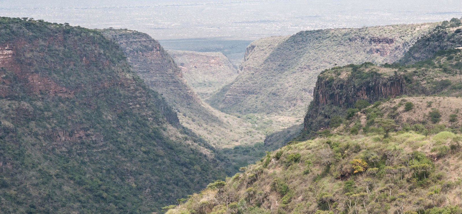 Mount Kulal