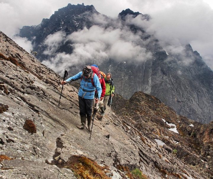 Rwenzori East Africa Mountains