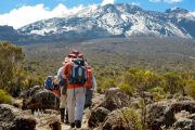 Mount Kilimanjaro Marangu day hike