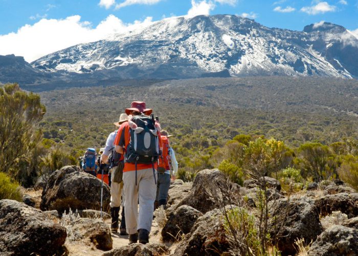 Mount Kilimanjaro Marangu day hike