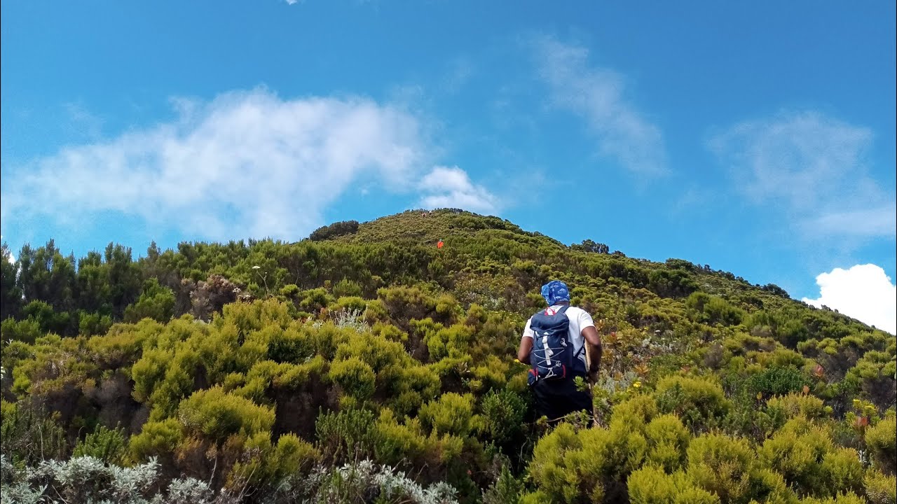 Mount Mtelo Hike