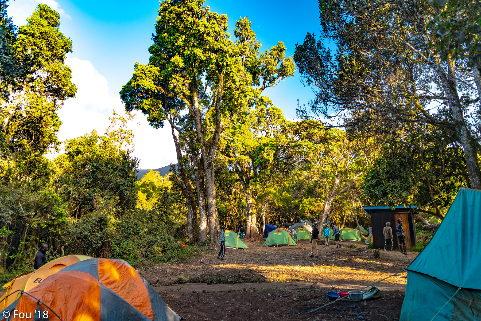 Mti Mkubwa Camp ( Big Tree Camp or Forest Camp)