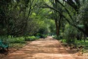 Botanical Garden Nairobi