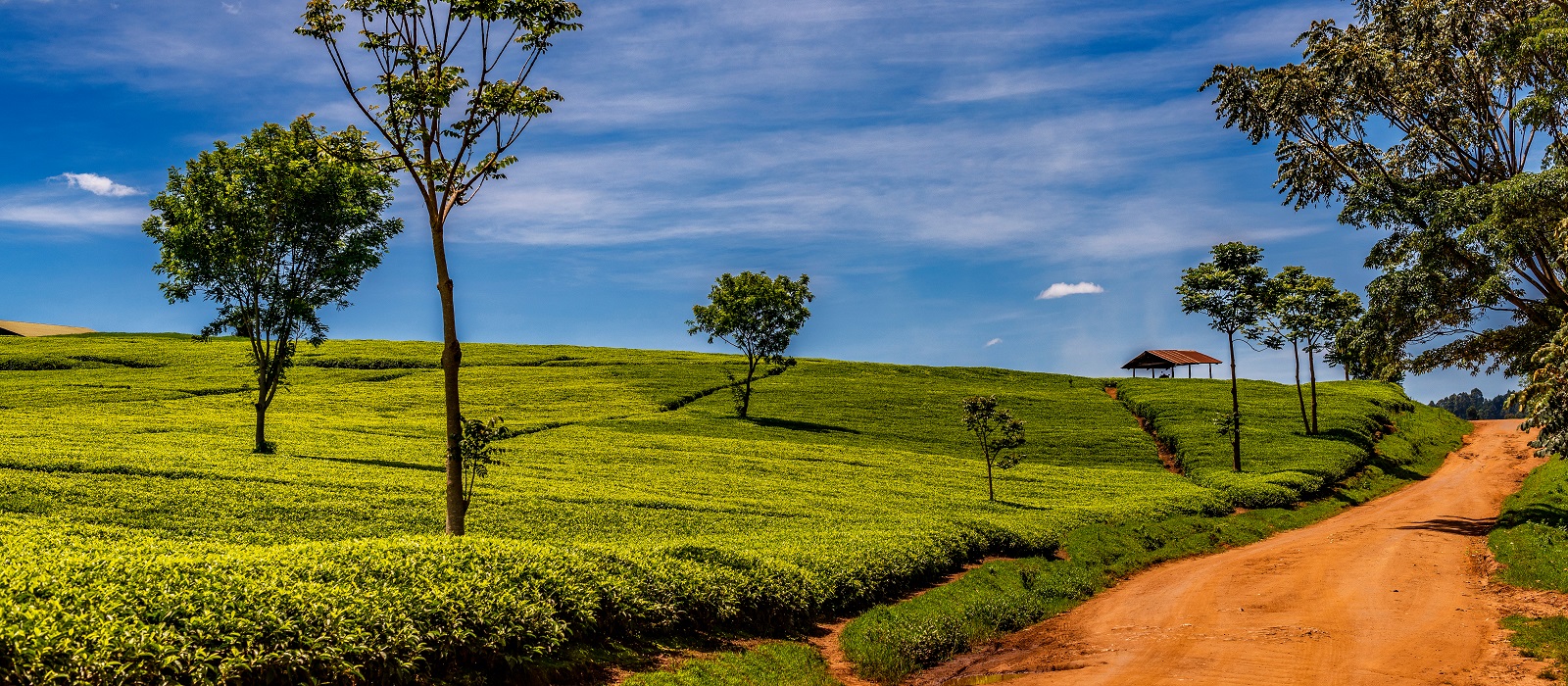 Nandi Hills and Iten Athletics Tour