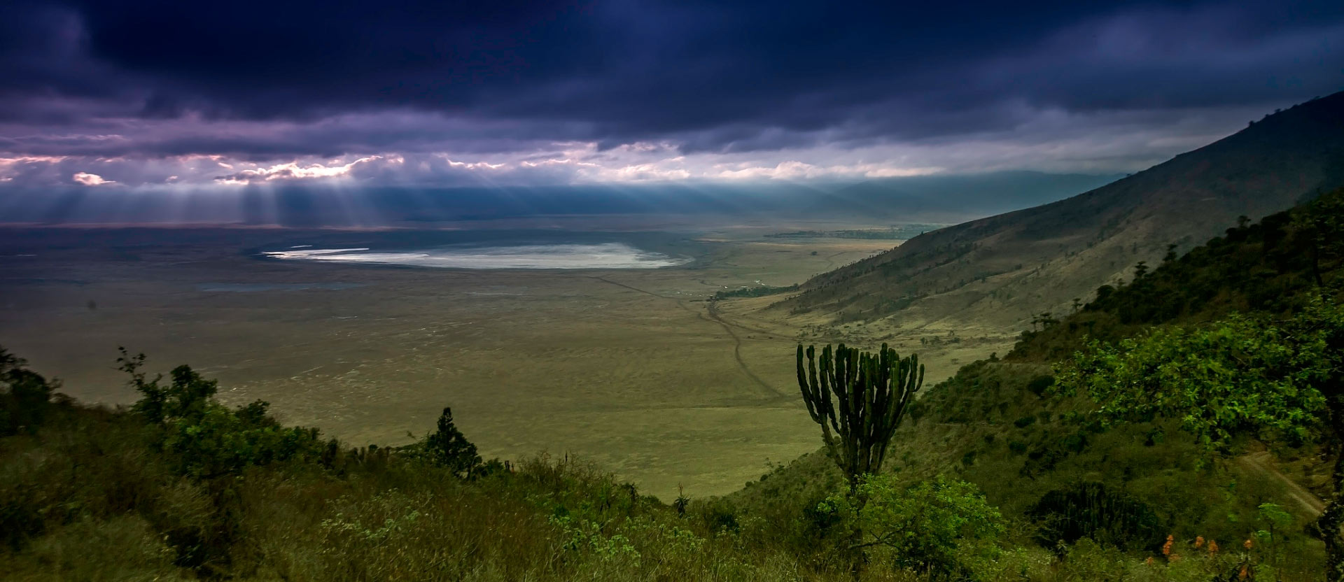 Ngorongoro Crater Highlands