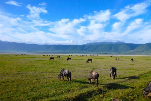 Mount Meru, Kilimanjaro, Safari and Zanzibar