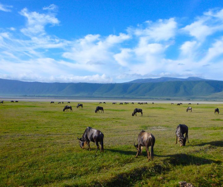 Mount Meru, Kilimanjaro, Safari and Zanzibar