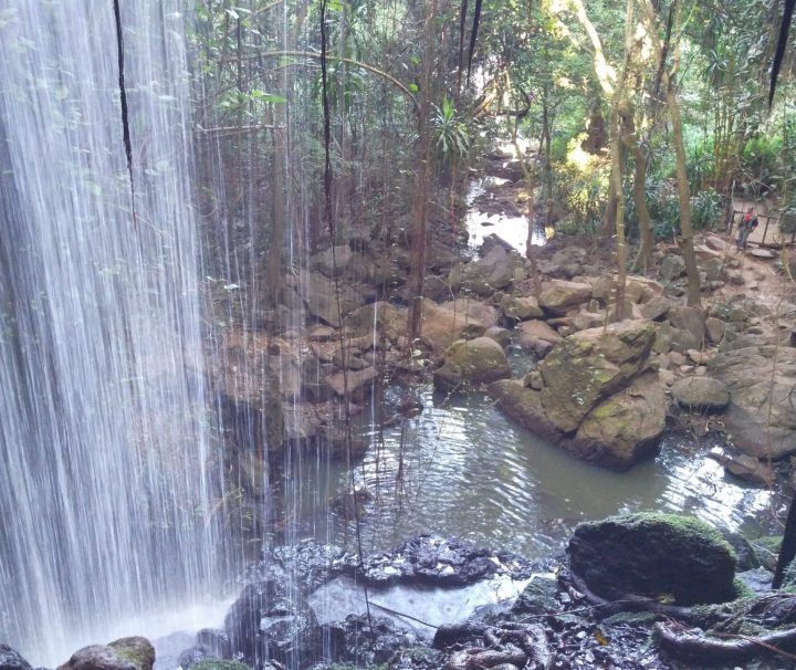 Paradise Lost Kiambu