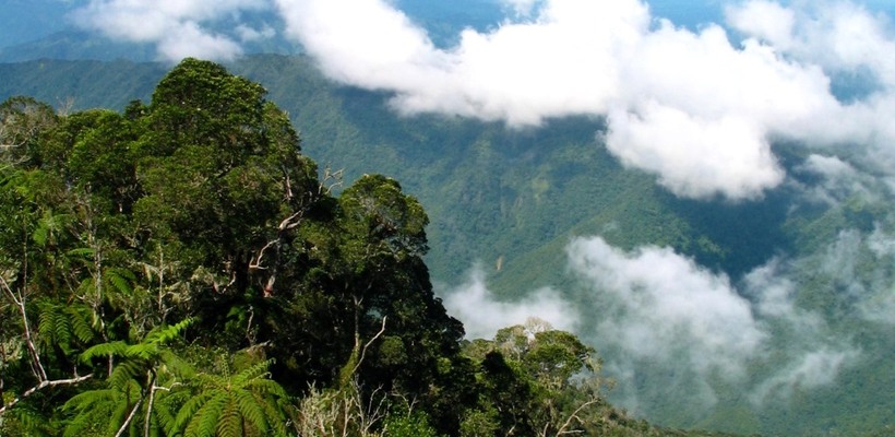 Pico Turquino