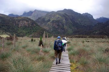 7 Days Rwenzori Mountains