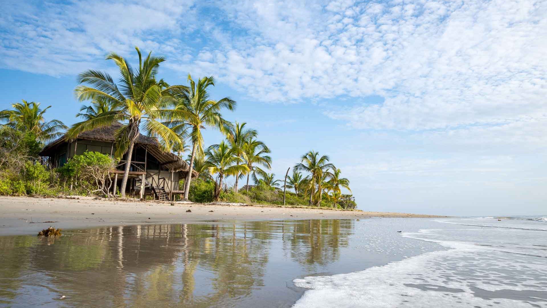 3 Days Safari in Saadani From Dar es Salaam