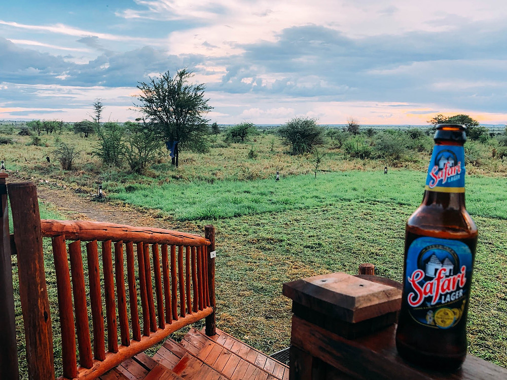 Safari beer