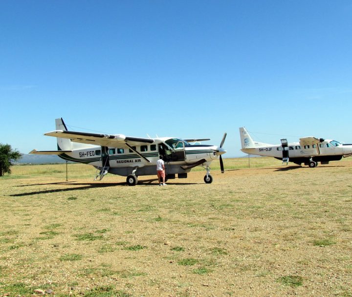 3 days Tanzania safari from Zanzibar