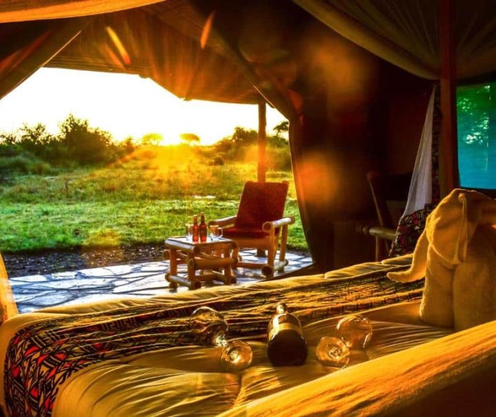 Tanzania lodge, tented camp safari and Zanzibar